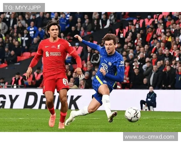 杭州足球队阵地战分析：战术得失与未来发展方向探讨