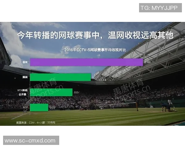 深圳网球队意识表现的深度数据分析与探讨 深圳网球队意识表现的深度数据分析与探讨