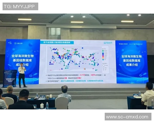 杭州攀岩队节奏表现数据分析揭示训练与比赛的关键因素 杭州攀岩队节奏表现数据分析揭示训练与比赛的关键因素