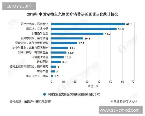 独家解析：上海足球队近期状态对比与未来发展趋势分析