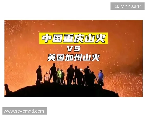 赛后分析:上海排球队与重庆排球队的表现与状态对比探讨 赛后分析:上海排球队与重庆排球队的表现与状态对比探讨