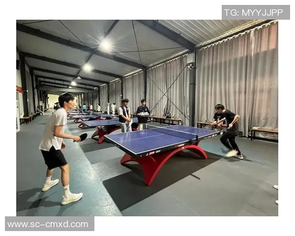 重庆乒乓球队个人能力提升之路探讨与发展策略分析 重庆乒乓球队个人能力提升之路探讨与发展策略分析