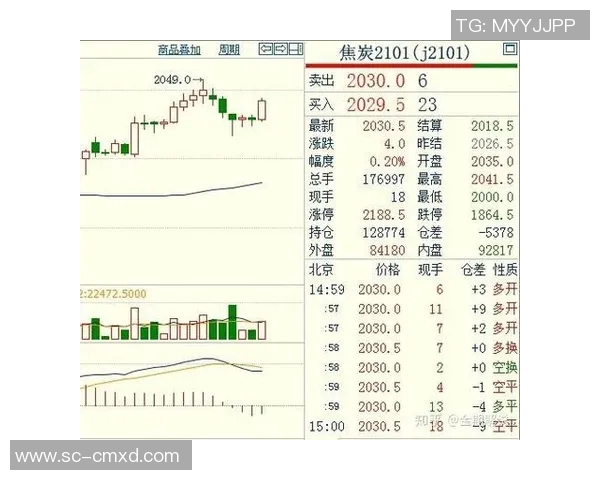 北京排球队配合表现数据分析揭示团队协作与胜率之间的关系